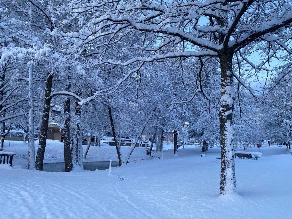 Halbstueck - Ferienwohnungen Am Kropsbachpark ซังคท์มาร์ทิน ภายนอก รูปภาพ