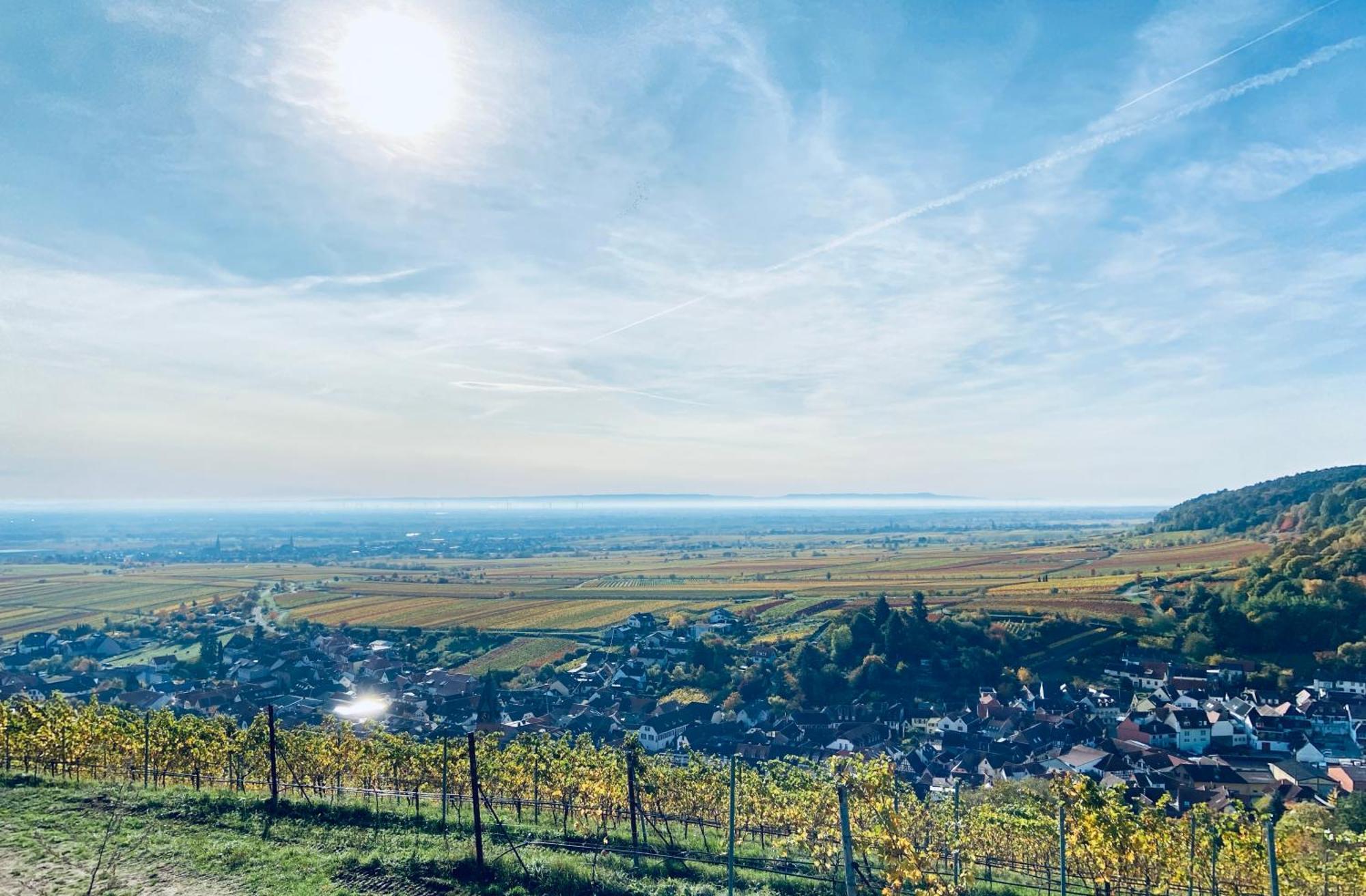 Halbstueck - Ferienwohnungen Am Kropsbachpark ซังคท์มาร์ทิน ภายนอก รูปภาพ